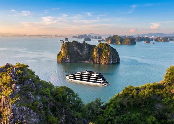 Lumiere Cruise - Illuminating The Art Of Cruising 