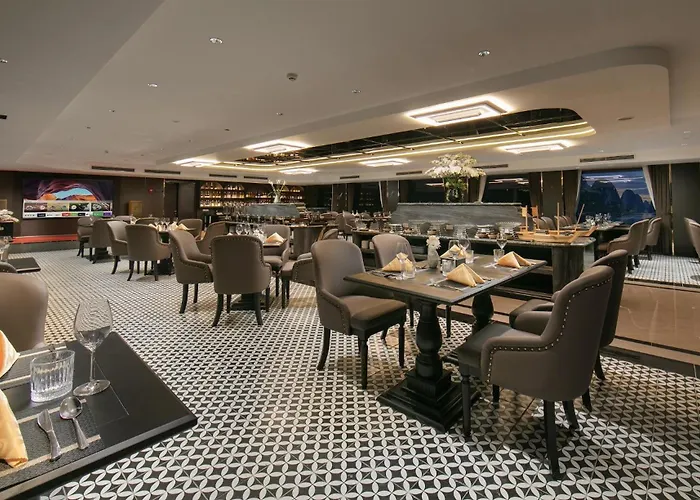 Lumiere Cruise - Illuminating The Art Of Cruising 
